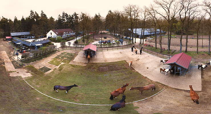 Veulentjeslessen voor kinderen tussen 5 en 8 bij Stal Mansour in Arnhem