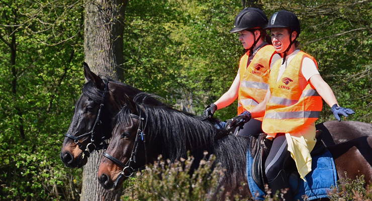 Veulentjeslessen voor kinderen tussen 5 en 8 bij Stal Mansour in Arnhem