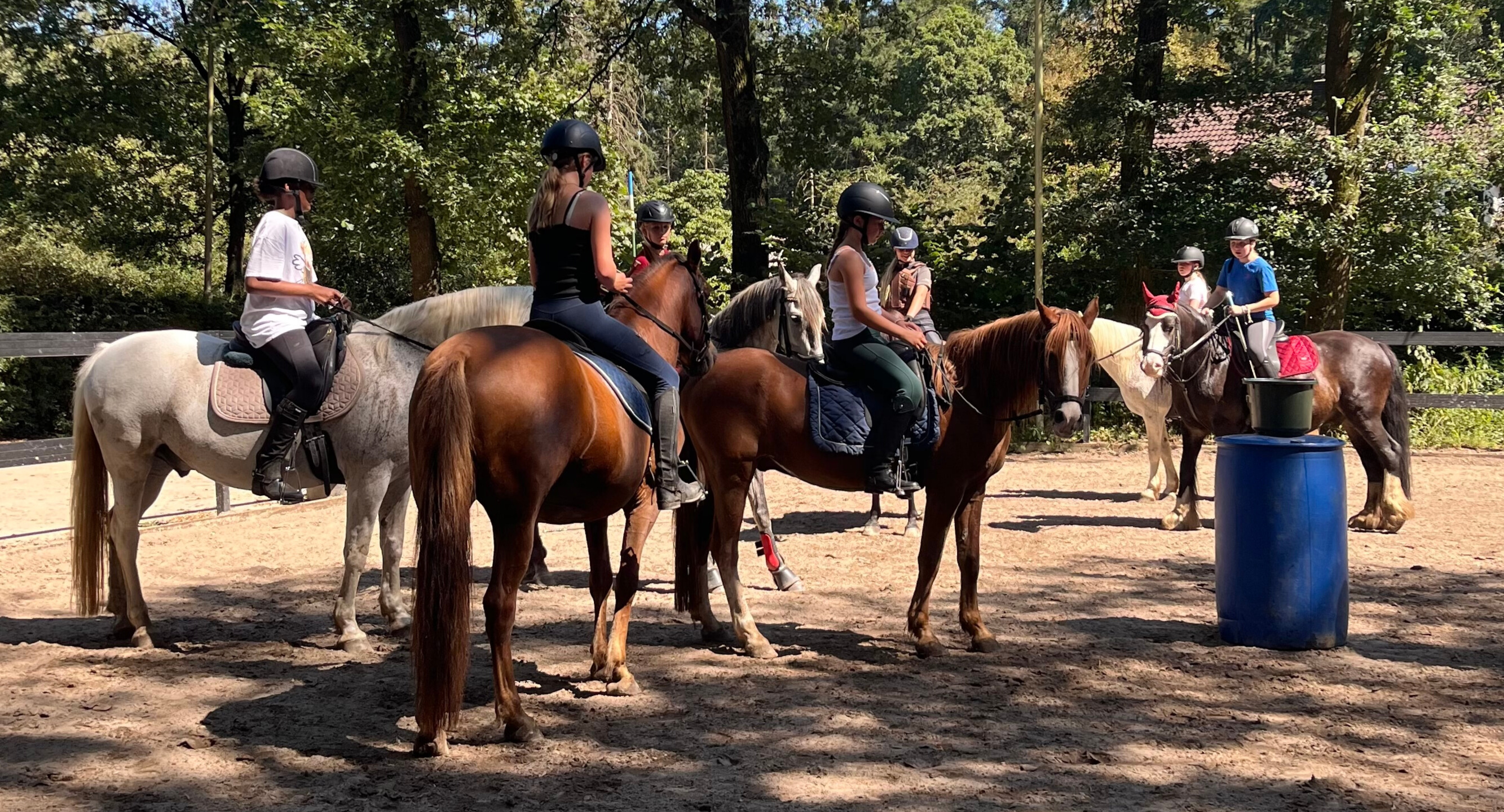 Ponykamp